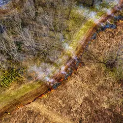 March 2020 (Shaker Village of Plesant Hill)